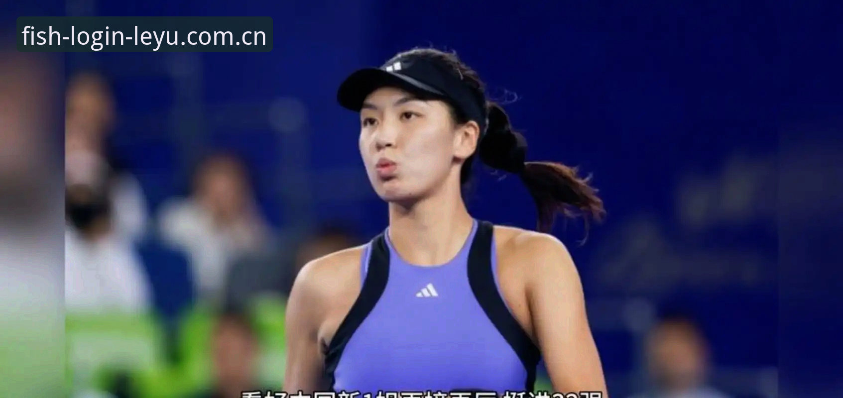 郑钦文vs王欣瑜：法网女单抽签出炉，中国金花保分压力与种子席位全面对比